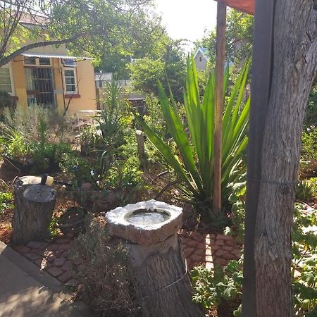 Appartamento Tranquility In Klein Karoo Oudtshoorn Esterno foto